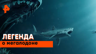 «Невероятно интересные истории»: легенда о мегалодоне