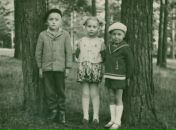 Фотография  