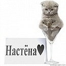 Анастасія Маснюк фотография #25 (источник - https://vk.com/id137303166)