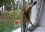 Виктор Павлов фотография #8 (источник - https://vk.com/id9891977)