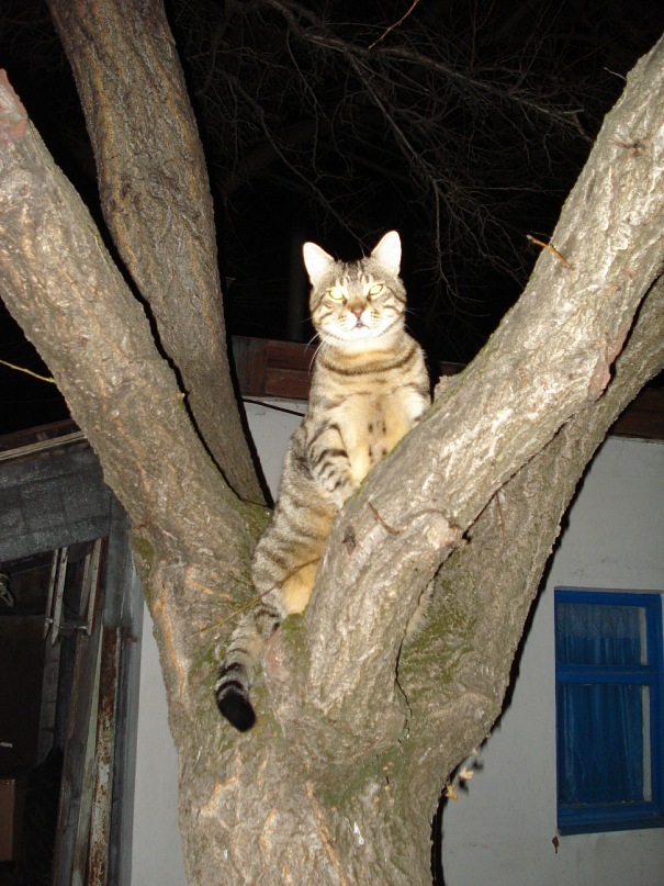 Ян Стулов фотография #40