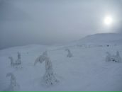 Міша Петришин фотография #26 (источник - https://vk.com/id19066967)