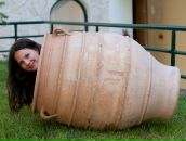 Фотография Гладышевой Нины