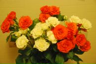 Фотография Ивановой Юлечки