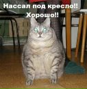 Аліна Поваляєва фотография #16 (источник - https://vk.com/id123912680)