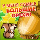 Фотография Антипиной Анастасии