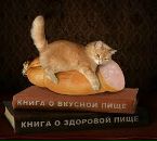 Алла Купчак фотография #42 (источник - https://vk.com/id62276935)