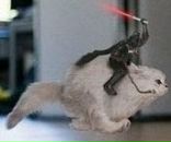 Фотография Чванова Кирилла