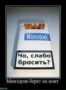 Ілля Гашко фотография #47 (источник - https://vk.com/id122749666)