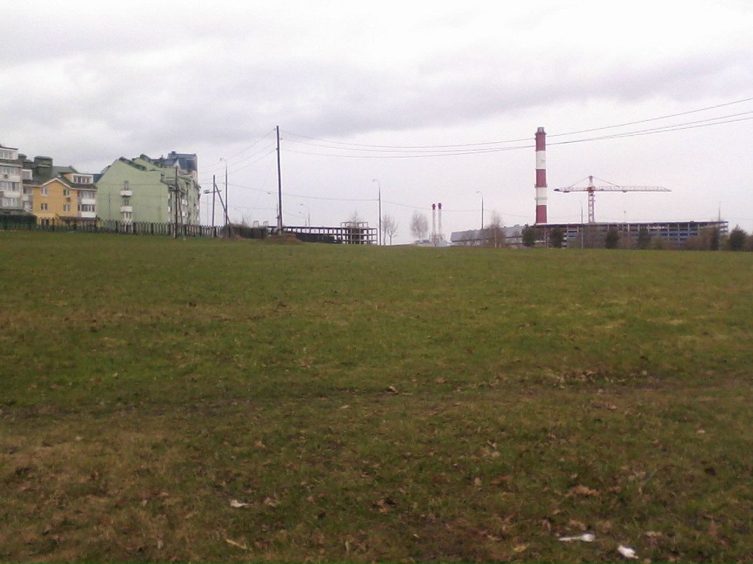 Дмитрий Омахоа фотография #23