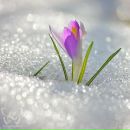 Фотография Любушкиной Елены