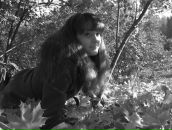 Фотография Левицкой Веры