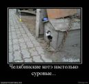 Андрій Жовтко фотография #20 (источник - https://vk.com/id76902260)