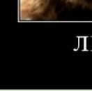 Віталій Цись фотография #46 (источник - https://vk.com/id27142199)