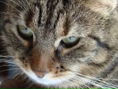 Фотография Фадеева Артёма