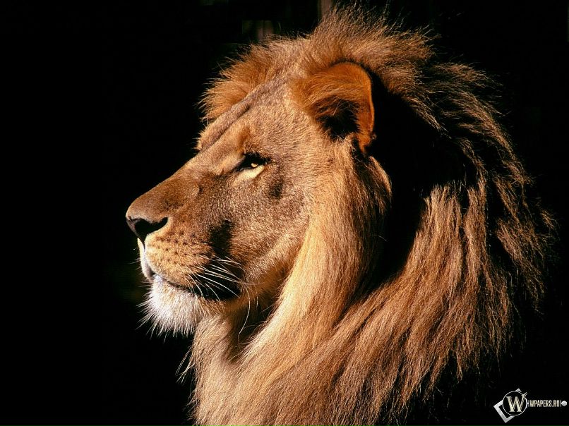 Валентин Олейник фотография #24