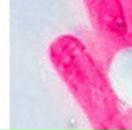 Галіна Николаева фотография #13 (источник - https://vk.com/id14098283)