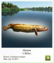 Андрій Жадан фотография #18 (источник - https://vk.com/id24173571)
