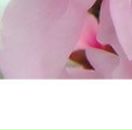 Анастасія Гудзак фотография #18 (источник - https://vk.com/id98965948)