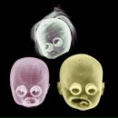 Фотография Малова Станислава