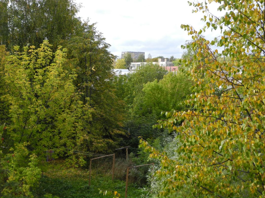 Илья Маслов фотография #35