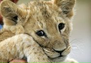 Фотография Ушатой Елены