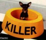 Ігор Скиба фотография #18 (источник - https://vk.com/id21373283)