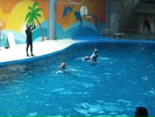 Murat Uzun фотография #19 (источник - https://vk.com/id1846906)