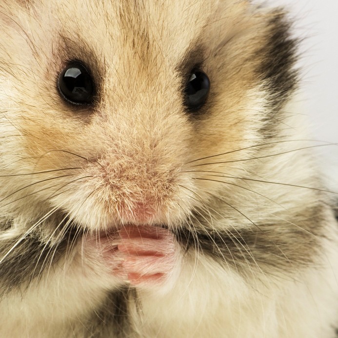 Сергей Антипьев фотография #29