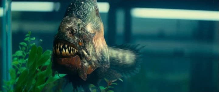 Рома Саенко фотография #17