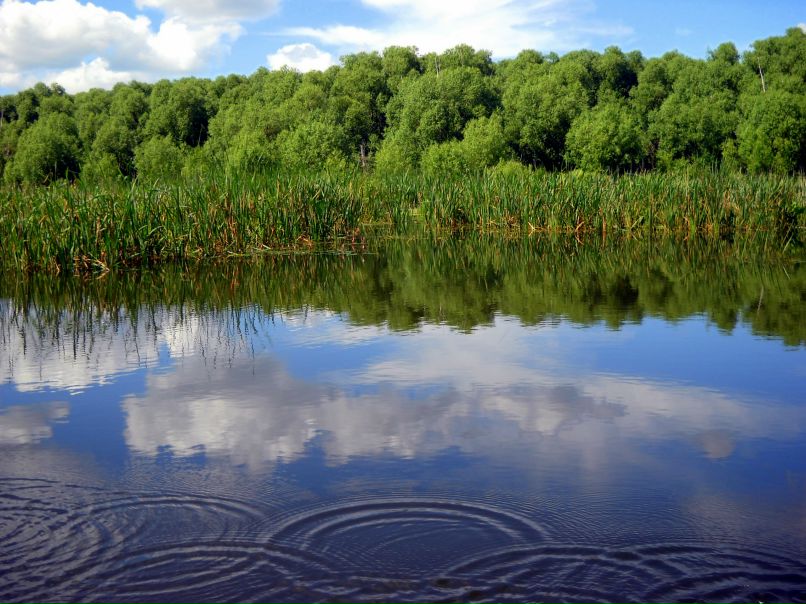 Марина Василенко фотография #45