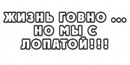 Олег Кіт фотография #1