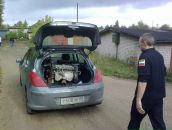 Фотография Сербиновского Анатолия