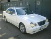 Фотография Курбатова Алексея