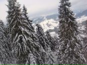 Степан Коліщак фотография #6 (источник - https://vk.com/id132807073)