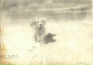 Фотография Осадченко Михаила