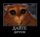 Віктор Пилипчук фотография #17 (источник - https://vk.com/id144640660)