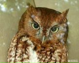 Фотография Жуковой Евгении