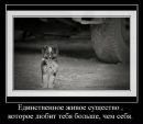 Олексій Маніла фотография #12 (источник - https://vk.com/id14696735)