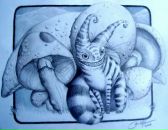 Фотография Селезнёвой Алёны