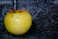 Міша Гончар фотография #34 (источник - https://vk.com/id10836781)