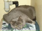 Фотография Лемешевой Галины