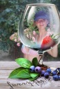 Фотография Стёпиной Елены