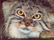 Фотография Земскова Александра