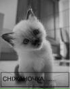 Сніжанка Білак фотография #11 (источник - https://vk.com/id71496397)
