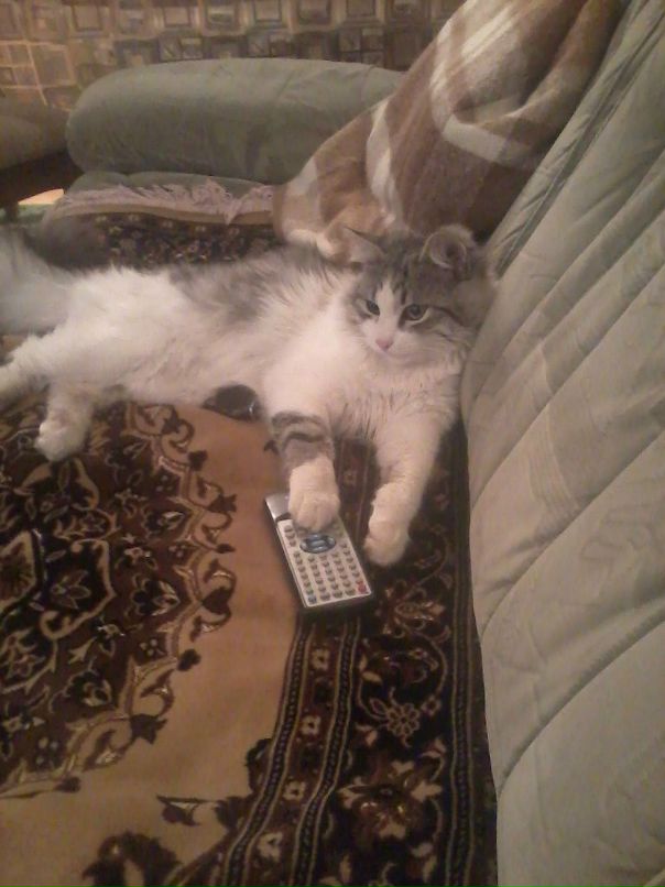 Руслан Батчаев фотография #34