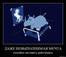 Іван Шуманський фотография #29 (источник - https://vk.com/id72664368)