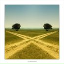 Слава Шаріпов фотография #46 (источник - https://vk.com/id19943062)