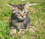 Фотография Белоусова Сергея