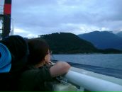 Фотография Tulilintu Leena